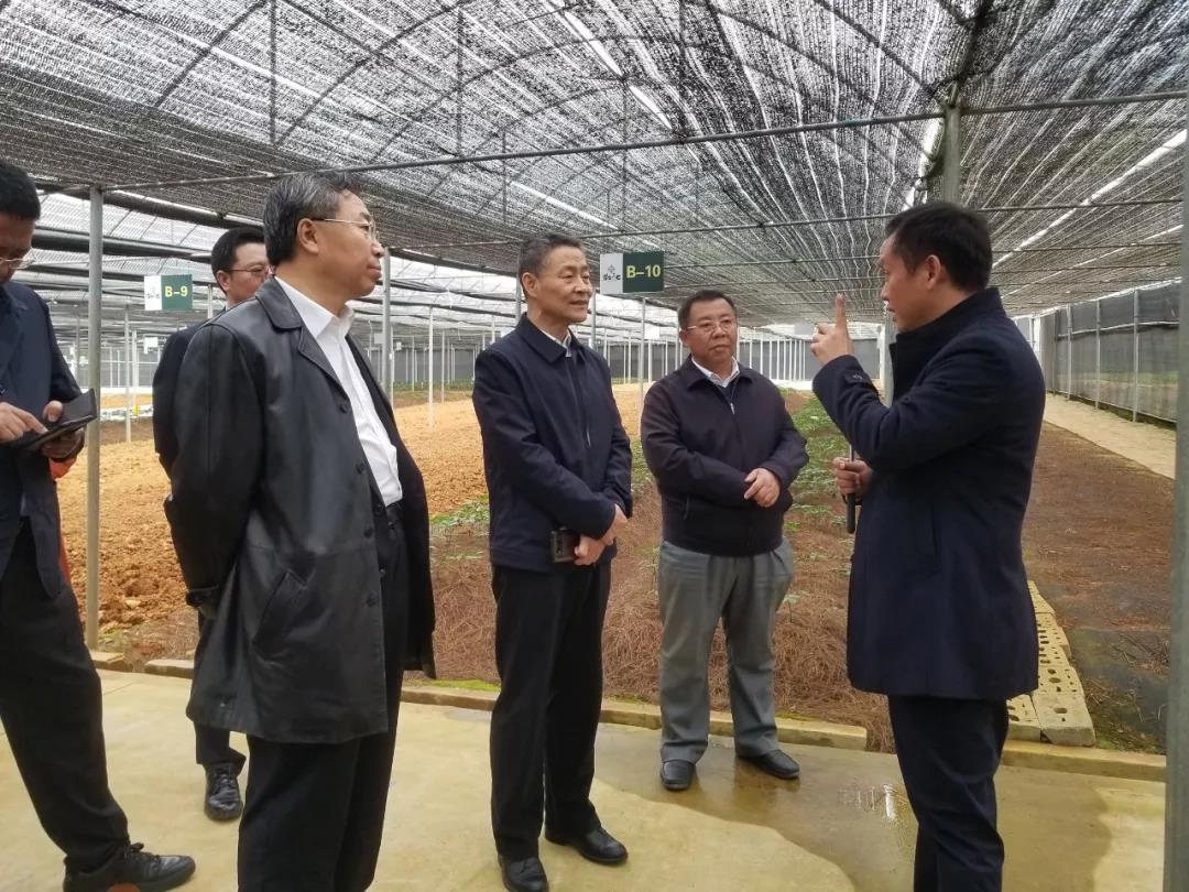 尊龙凯时-人生就是搏中国官方网站