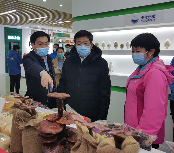任洪斌赴河北调研国资委定点帮扶事情强调 接续斗争 推进牢靠脱贫效果与墟落振兴有用衔接-尊龙凯时