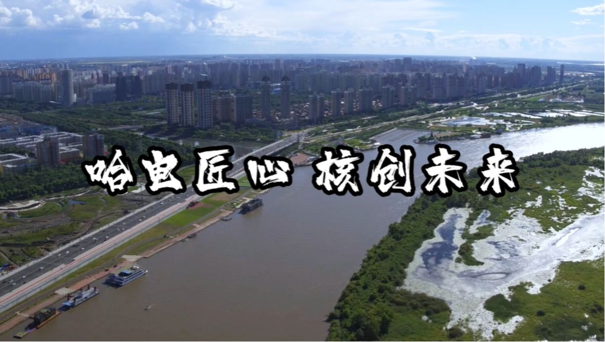 树模项目-尊龙凯时