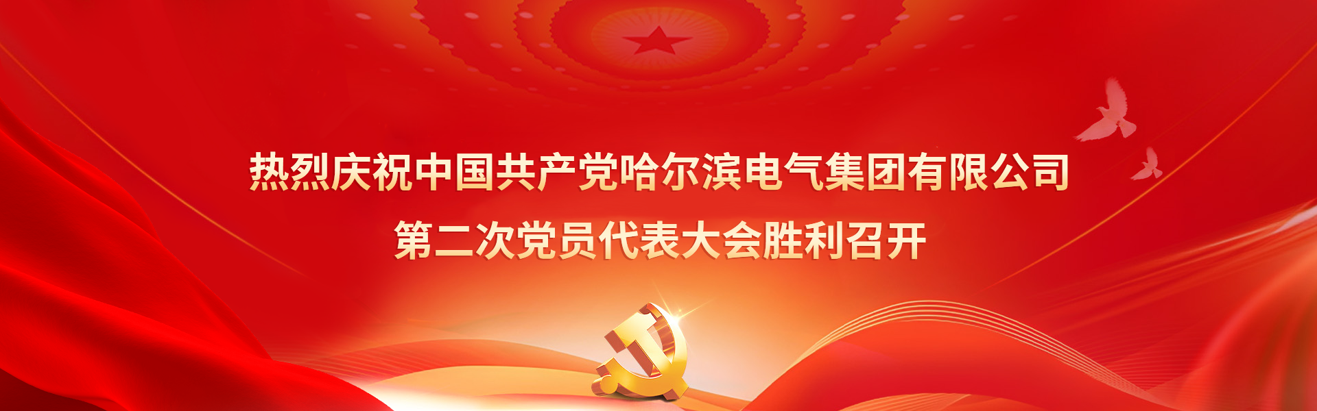 第二次党员代表大会-尊龙凯时