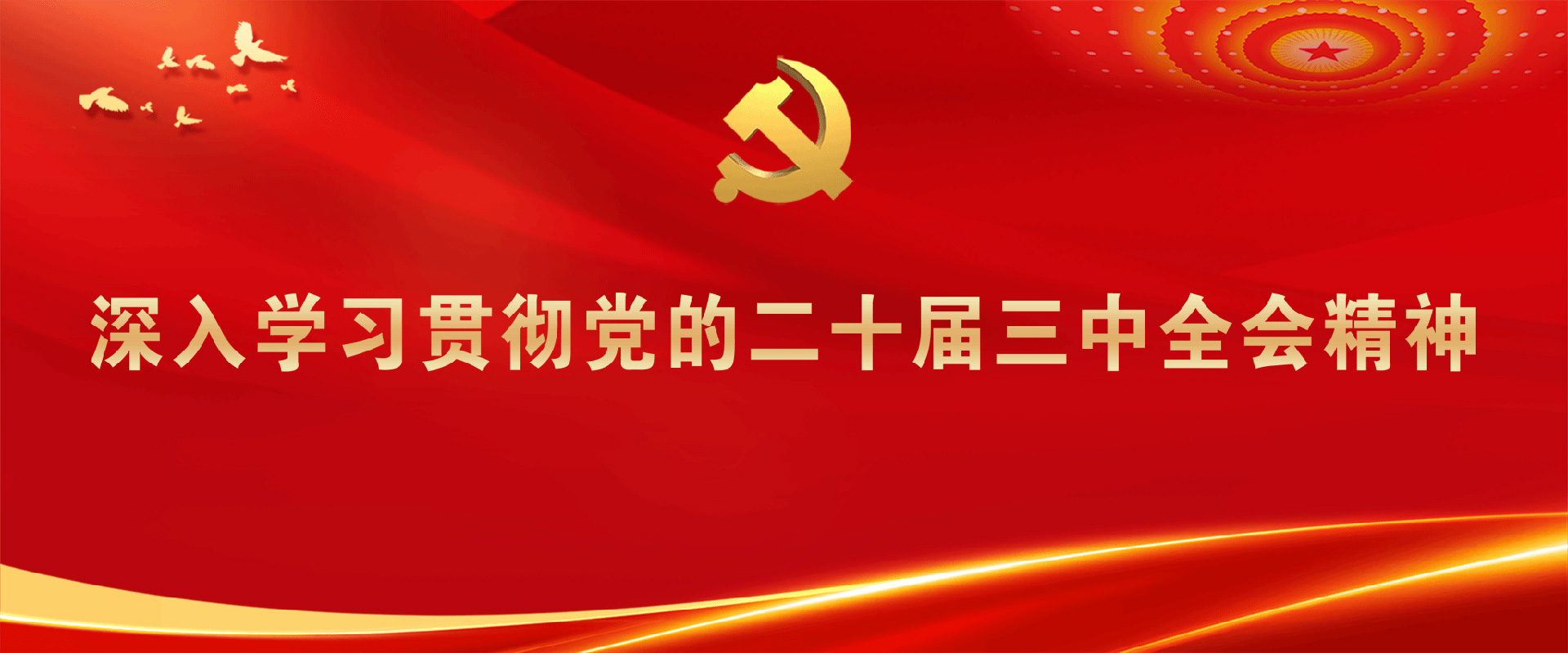学习宣传贯彻党的二十届三中全会精神-尊龙凯时